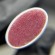 ( 5гр ) Бальзам-маска-скраб для губ МАЛИНА Grattol Premium Lip Balm Mask Ranspberry