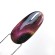 Гель-лак Grattol 9D Cat Eye 04, 9 мл